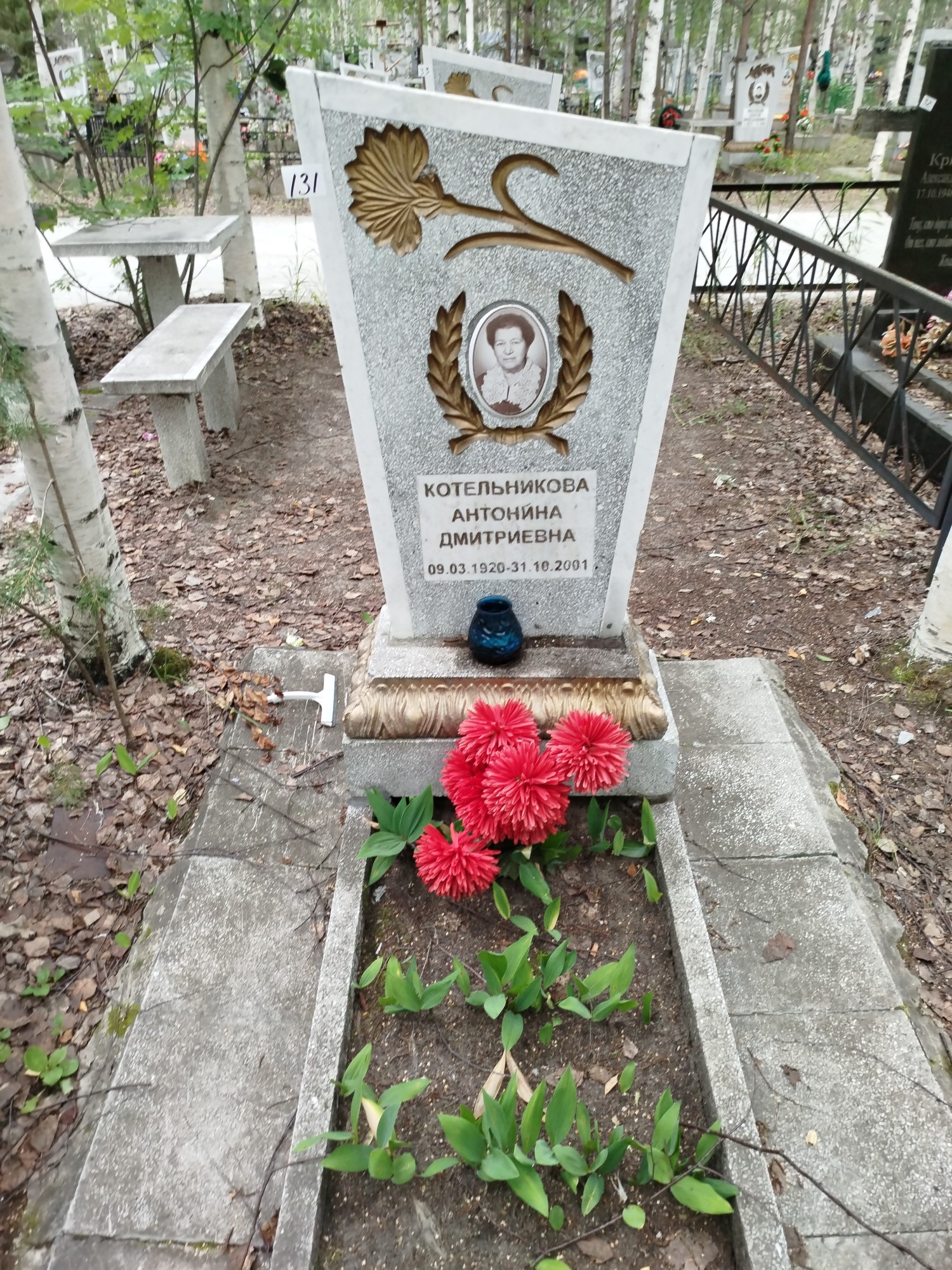 Котельникова Антонина Дмитриевна