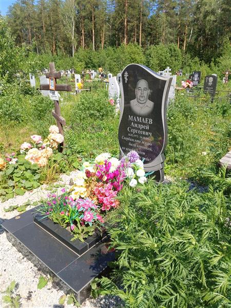 Мамаев Андрей Сергеевич