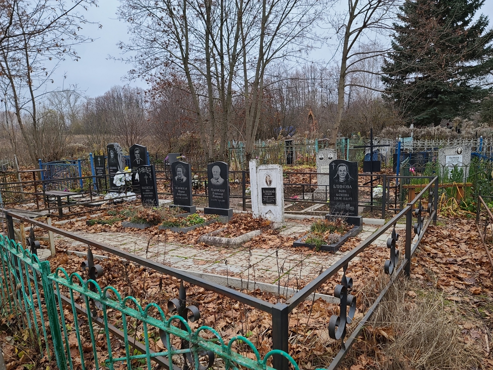 Маковский Владимир Иванович