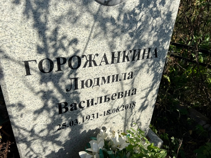 Горожанкина