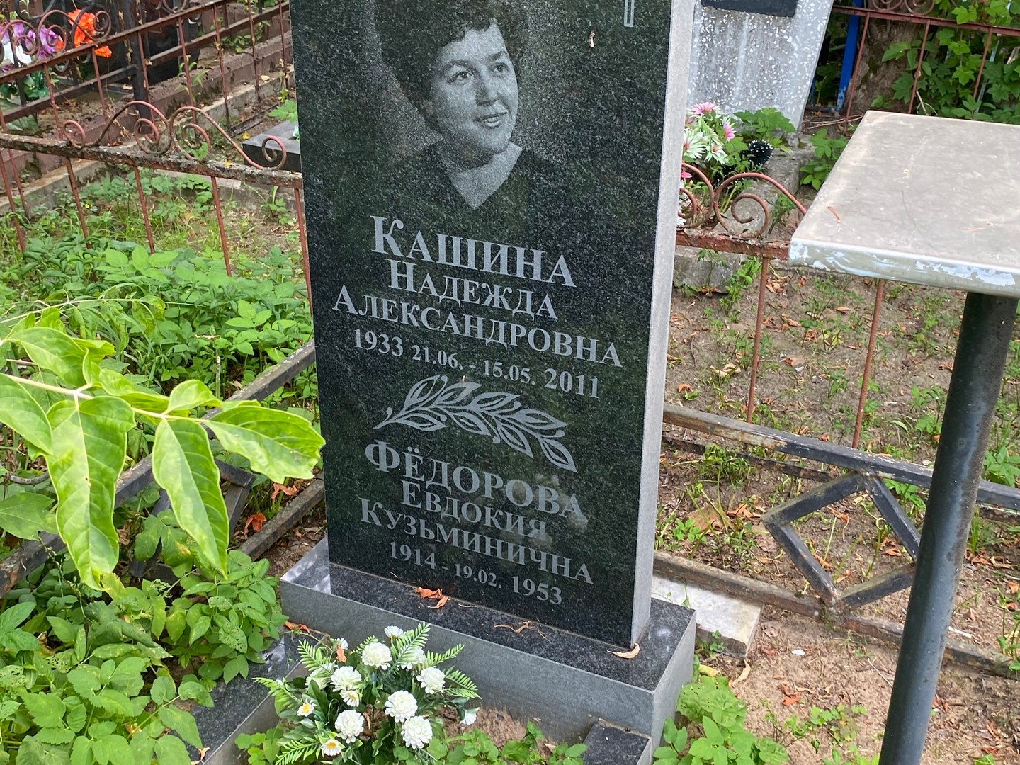 Кашина