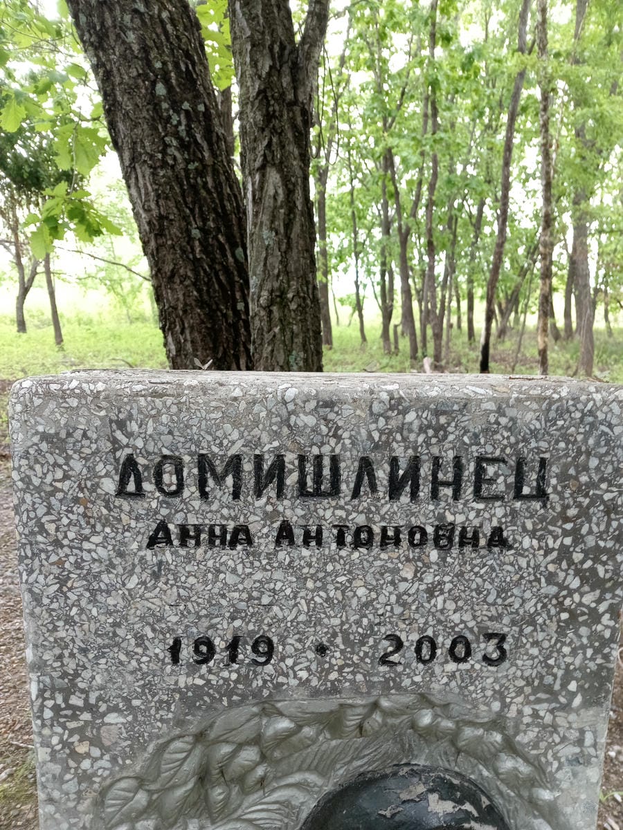 Домишлинец Анна Антоновна