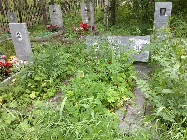 Шапошникова Нина Георгиевна