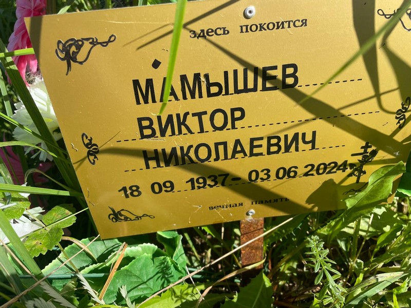 Мамышев
