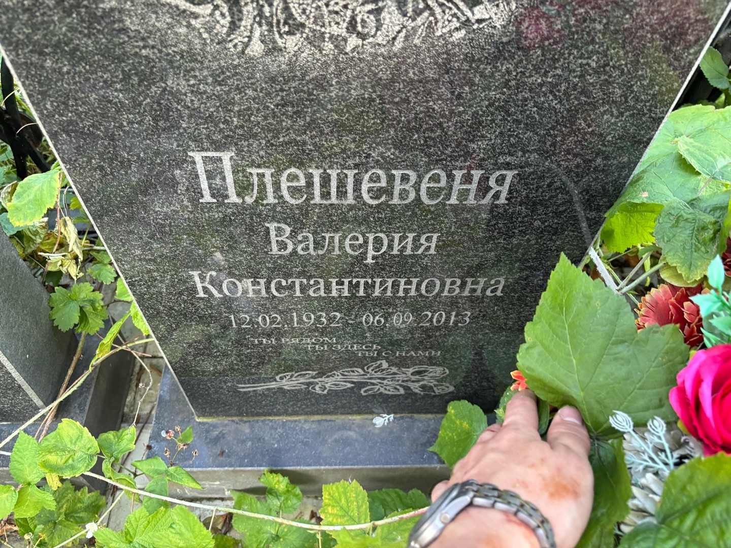 Валерия Плешевеня Константиновна