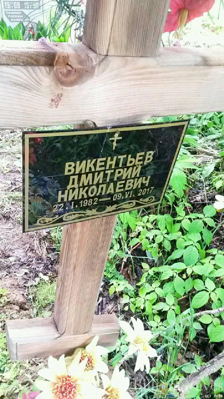 Викентьев Дмитрий Николаевич