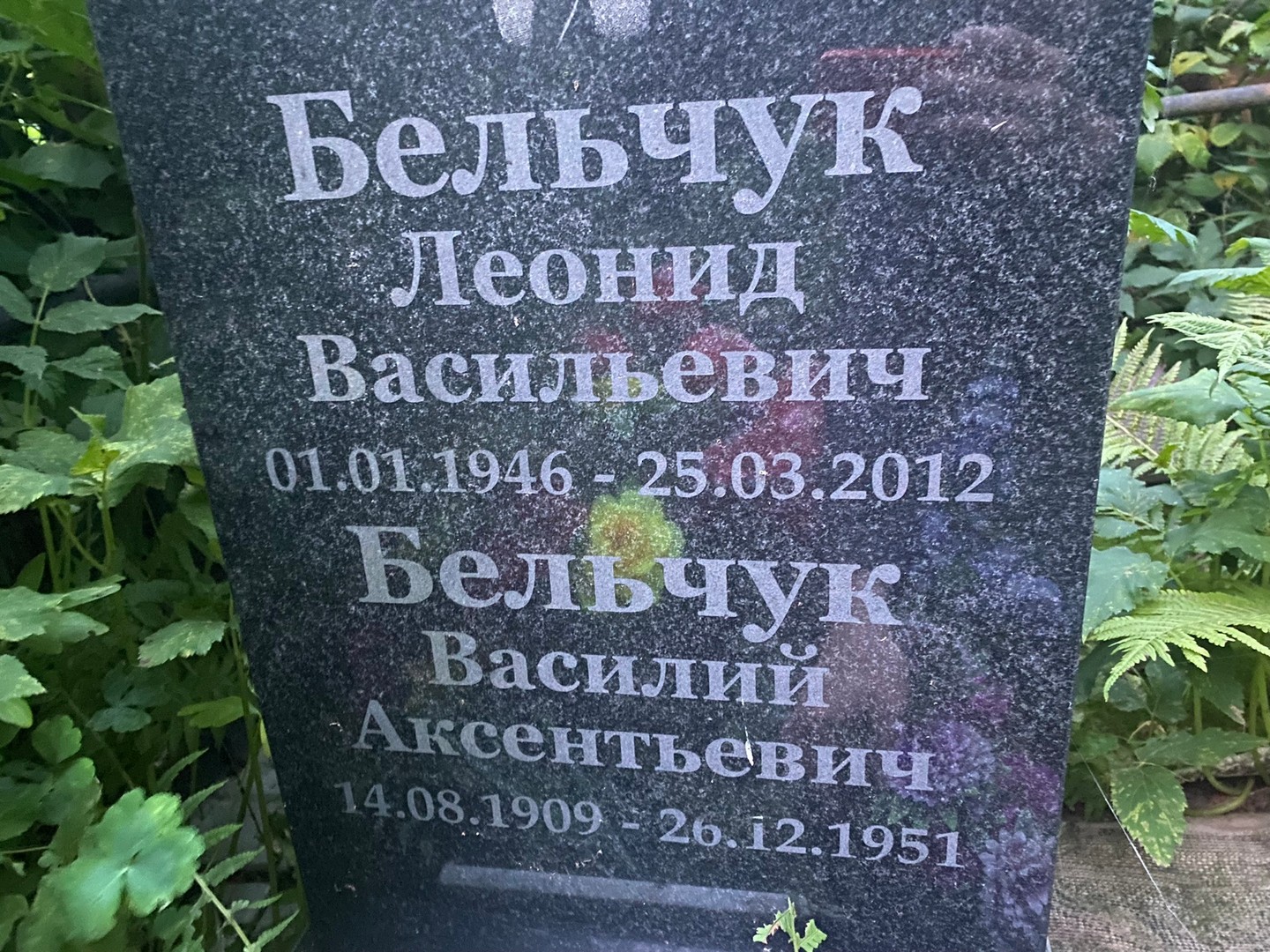 Бельчук