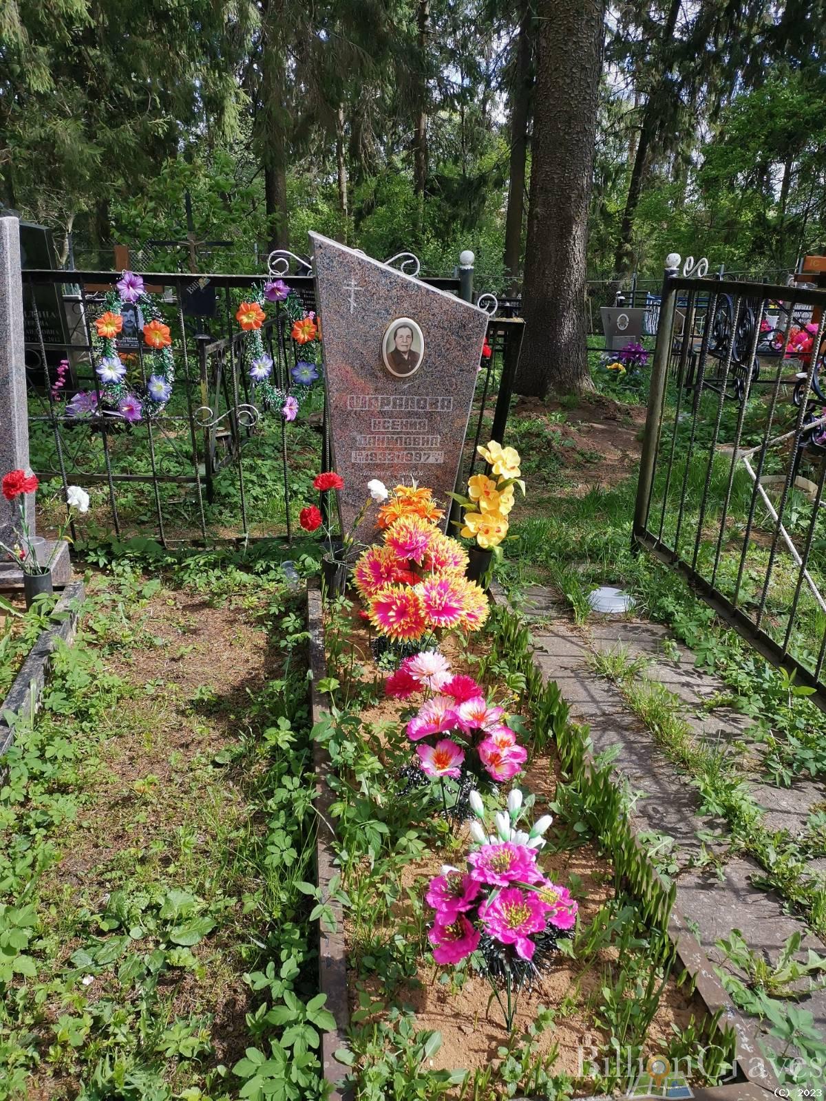 Шарапова Ксения Даниловна