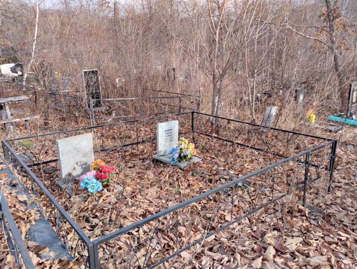 Шопоняк Александр Васильевич