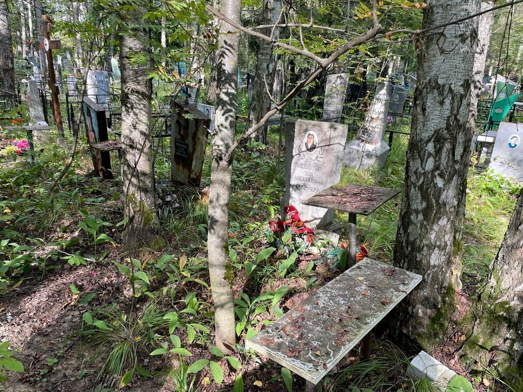 Шевцова Зоя Алексеевна