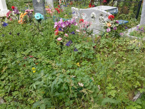 Федорова Александра Семеновна