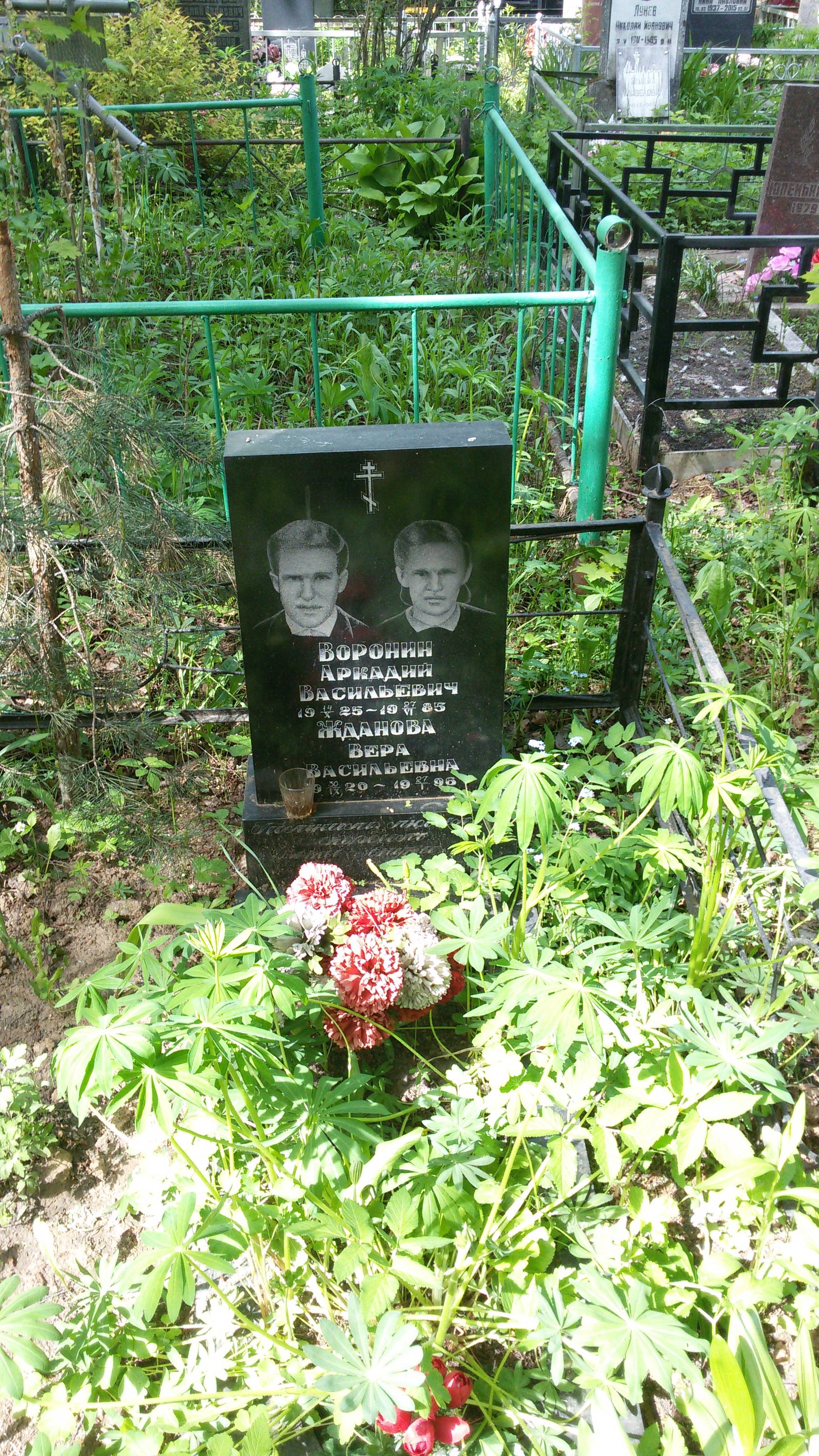 Жданова Вера Васильевна