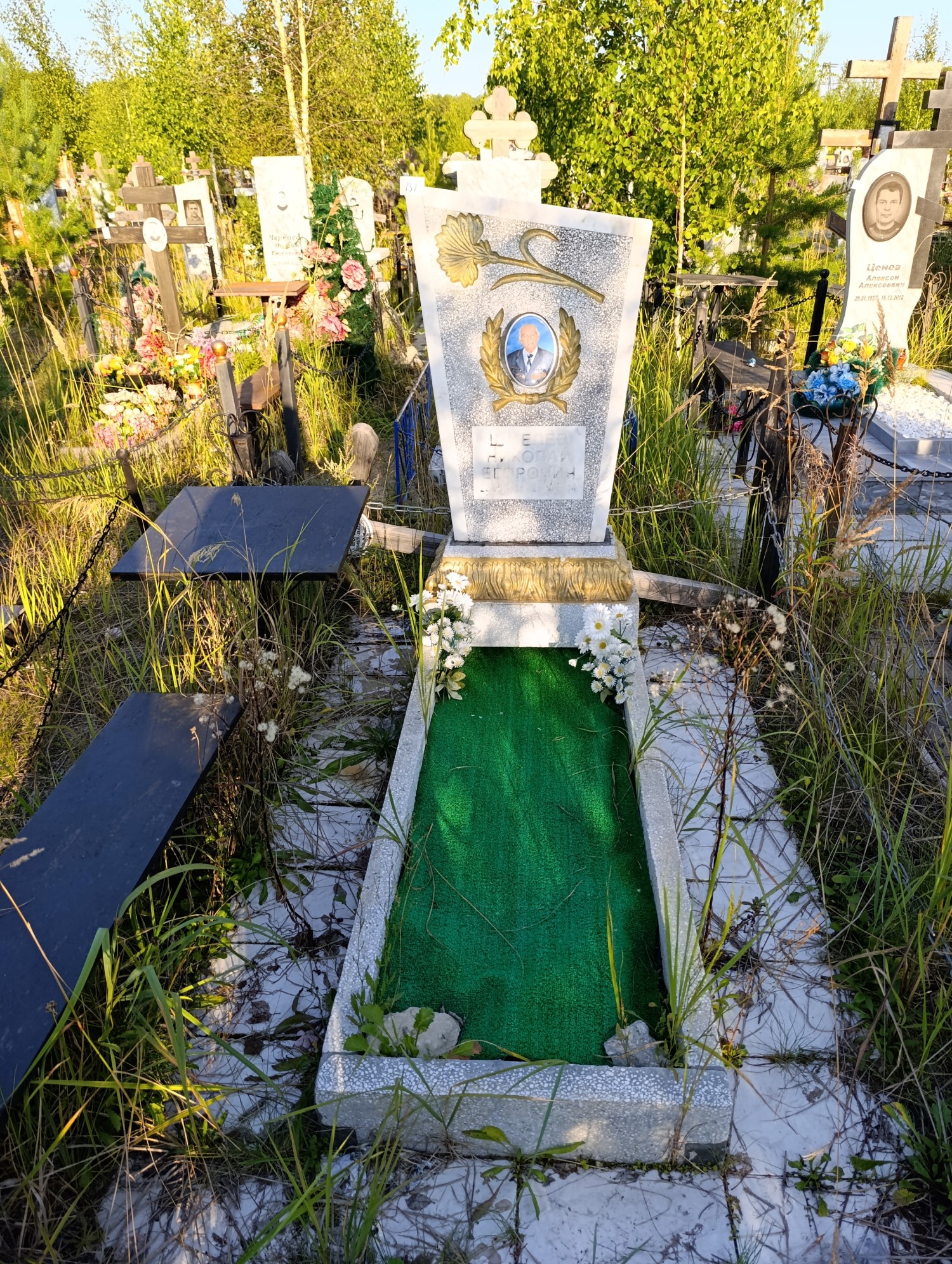 Шмелев Николай Егорович