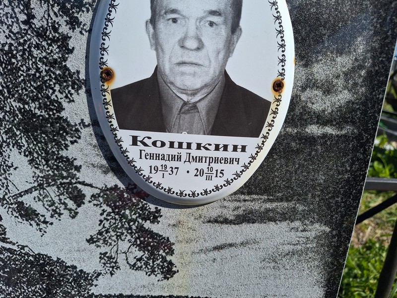 Кошкин