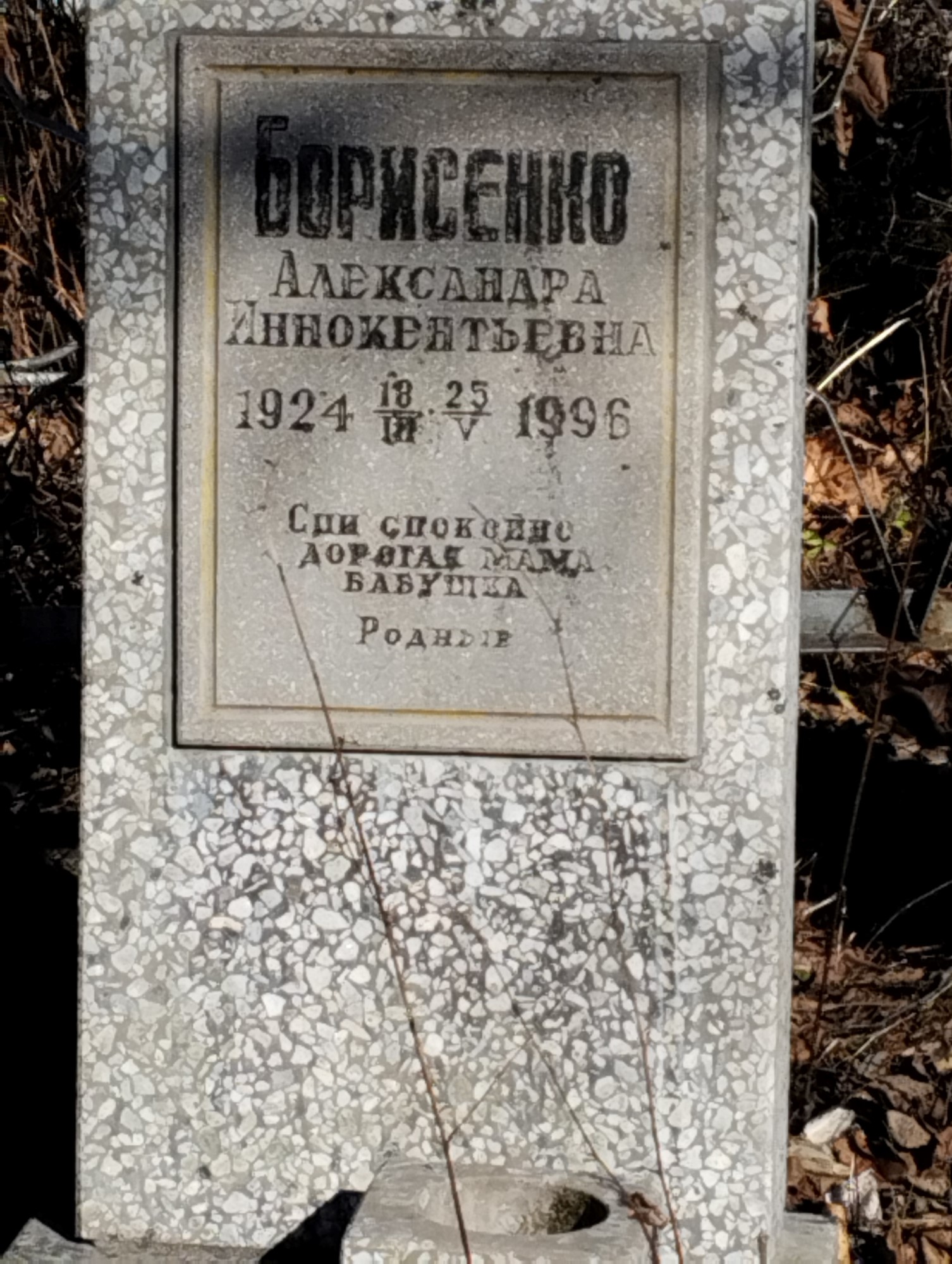 Борисенко Александра Иннокентьевна