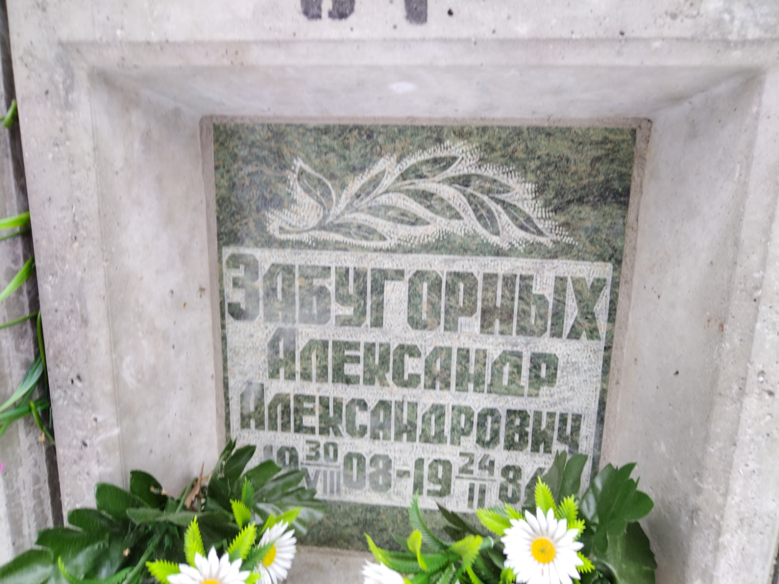 Забугорных Александр Александрович