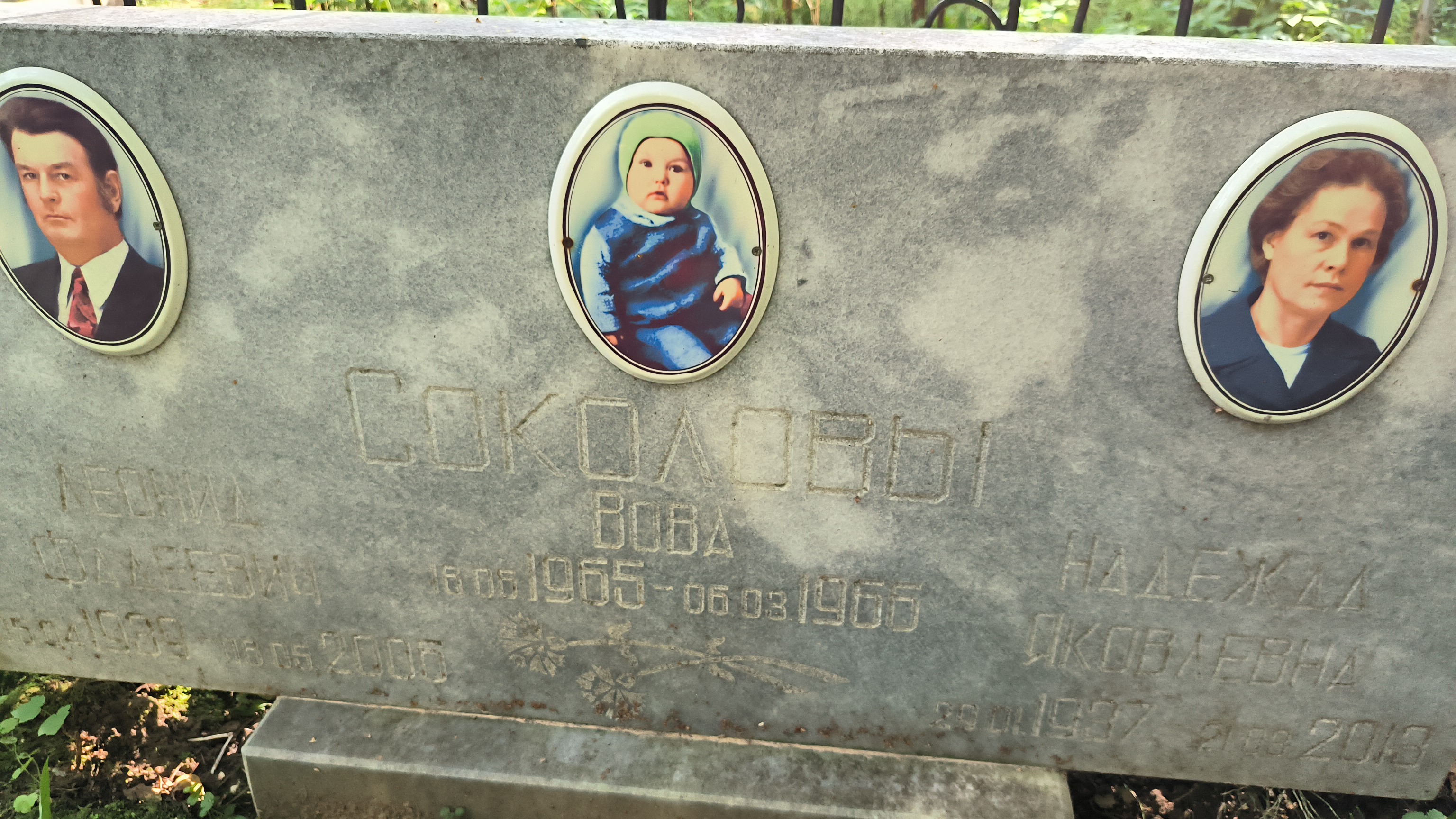 Соколова Надежда Яковлевна