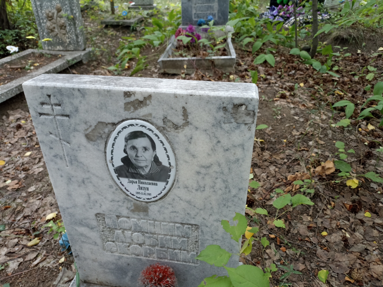 Лизун Дарья Николаевна