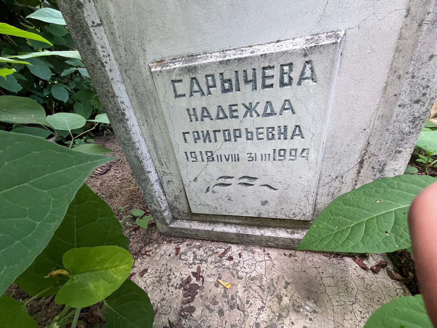 Сарычева