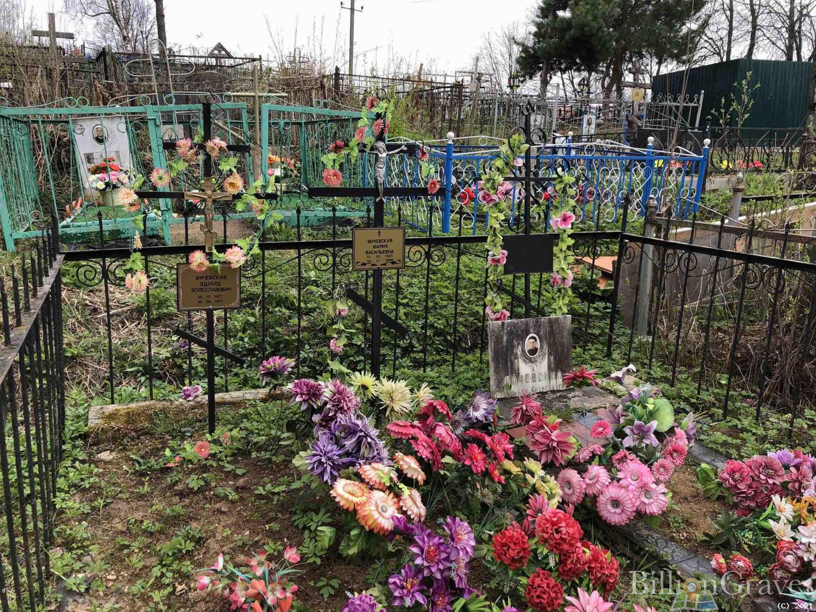 Янчевская Мария Васильевна