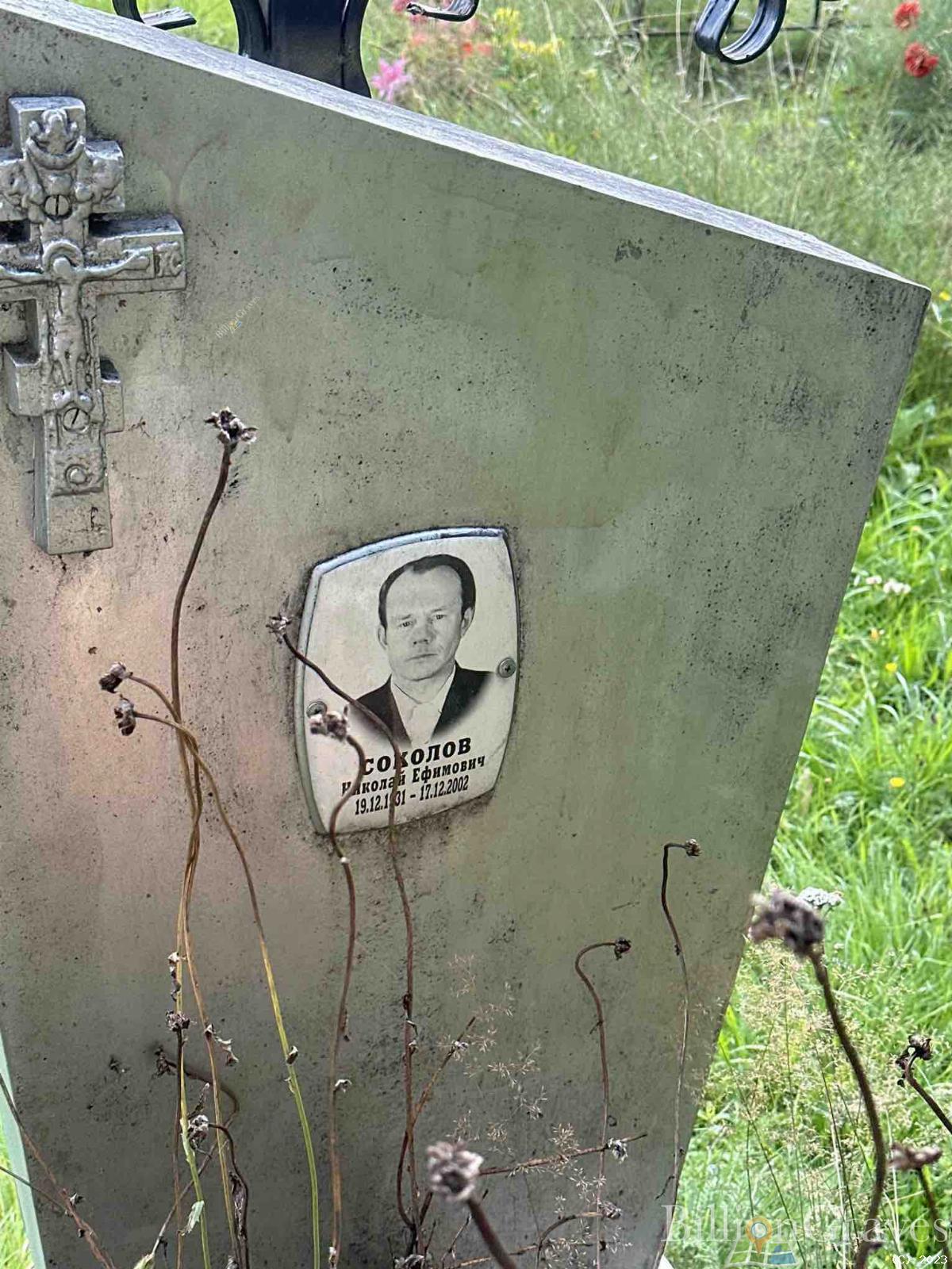 Соколов Николай Ефимович