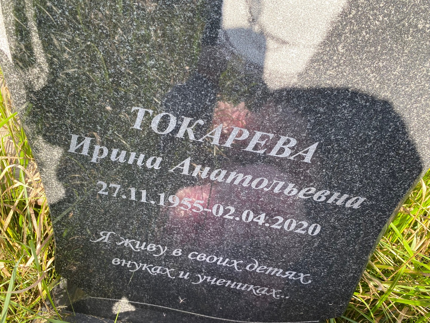 Токарева