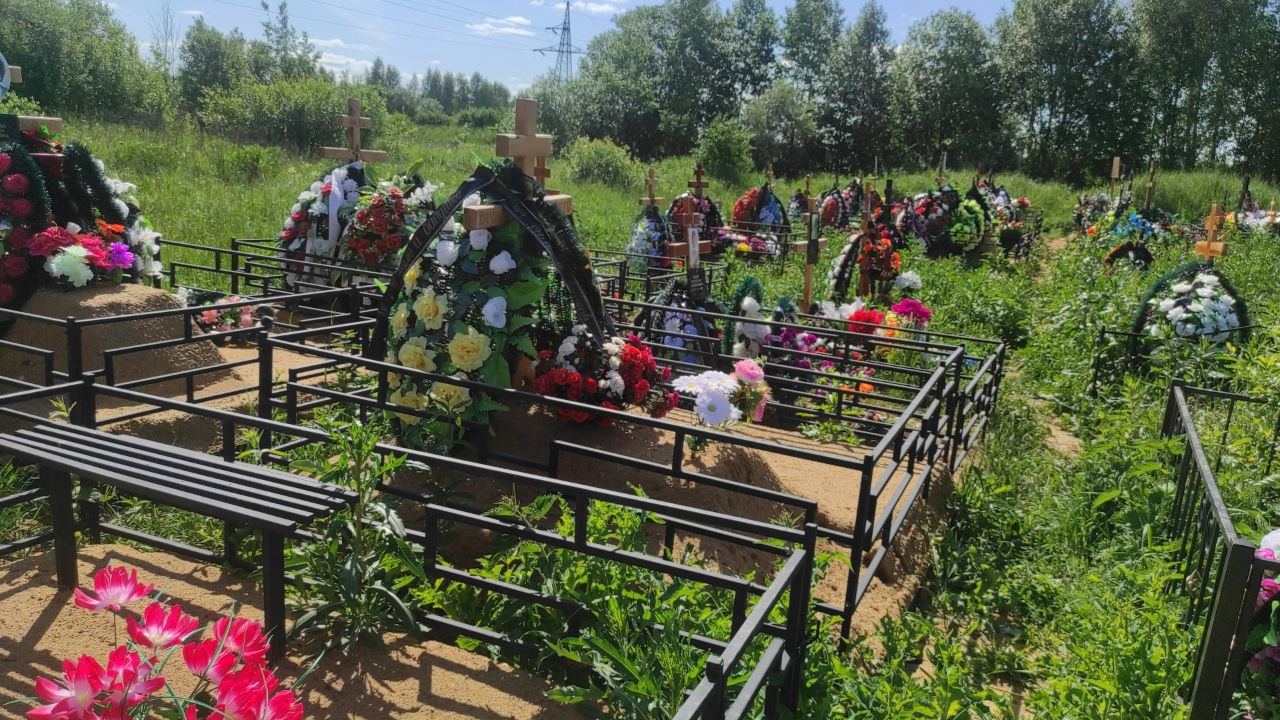 Альбина Волкова Константиновна