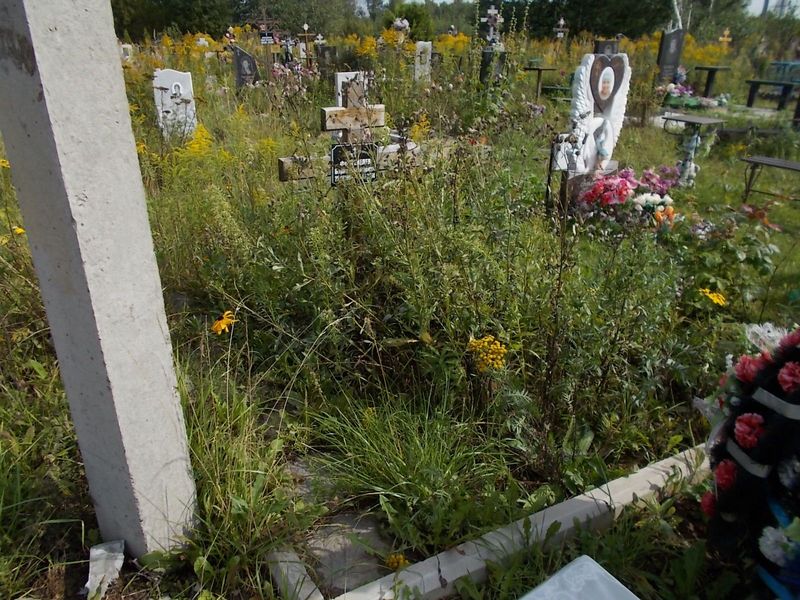 Фонтенелев Борис Николаевич