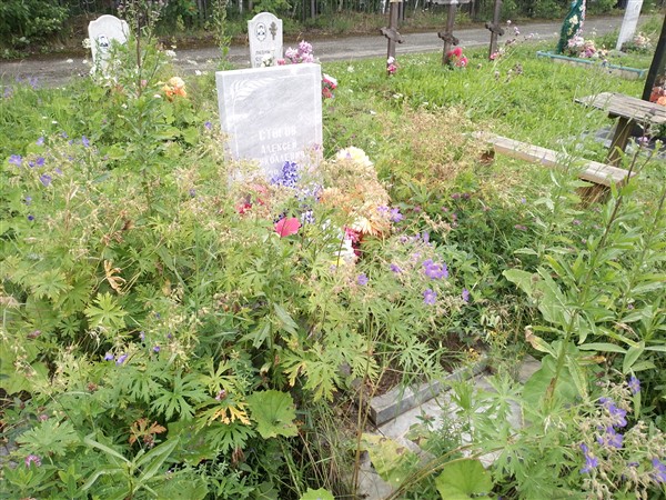 Стогов Алексей Николаевич