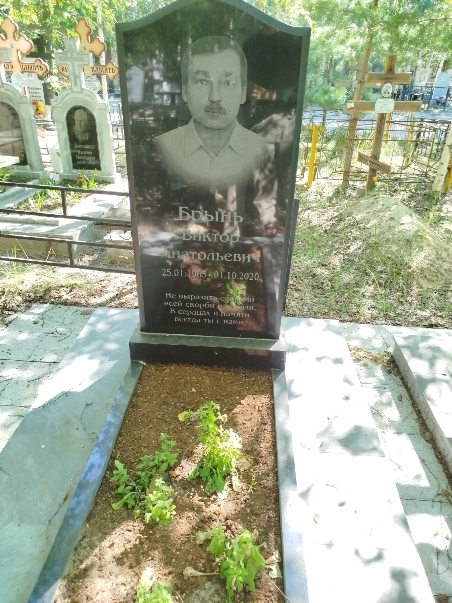 Брынь Виктор Анатольевич