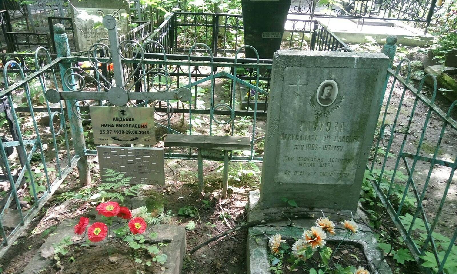 Глухова Александра Николаевна