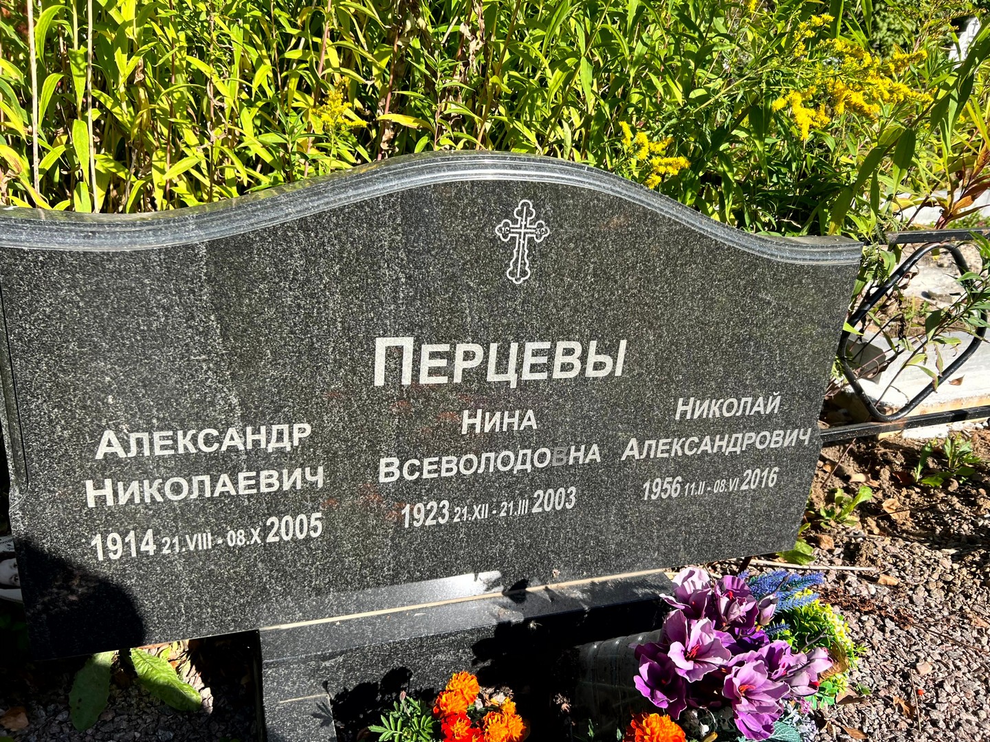 Перцев
