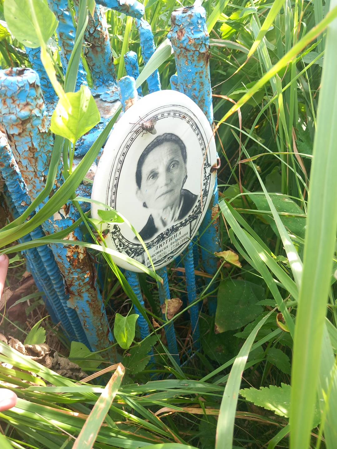 Лютина Анастасия Андреевна