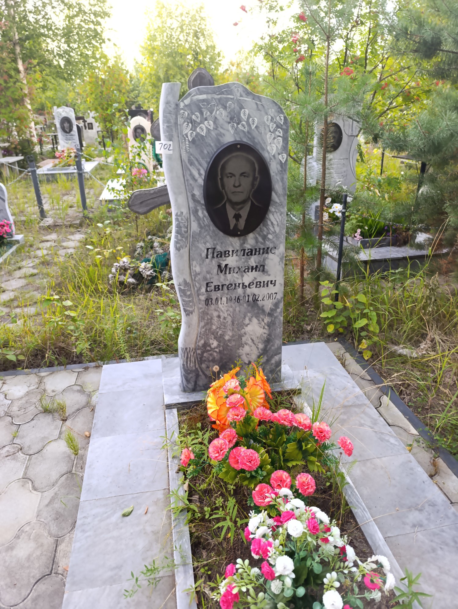Павиланис Михаил Евгеньевич