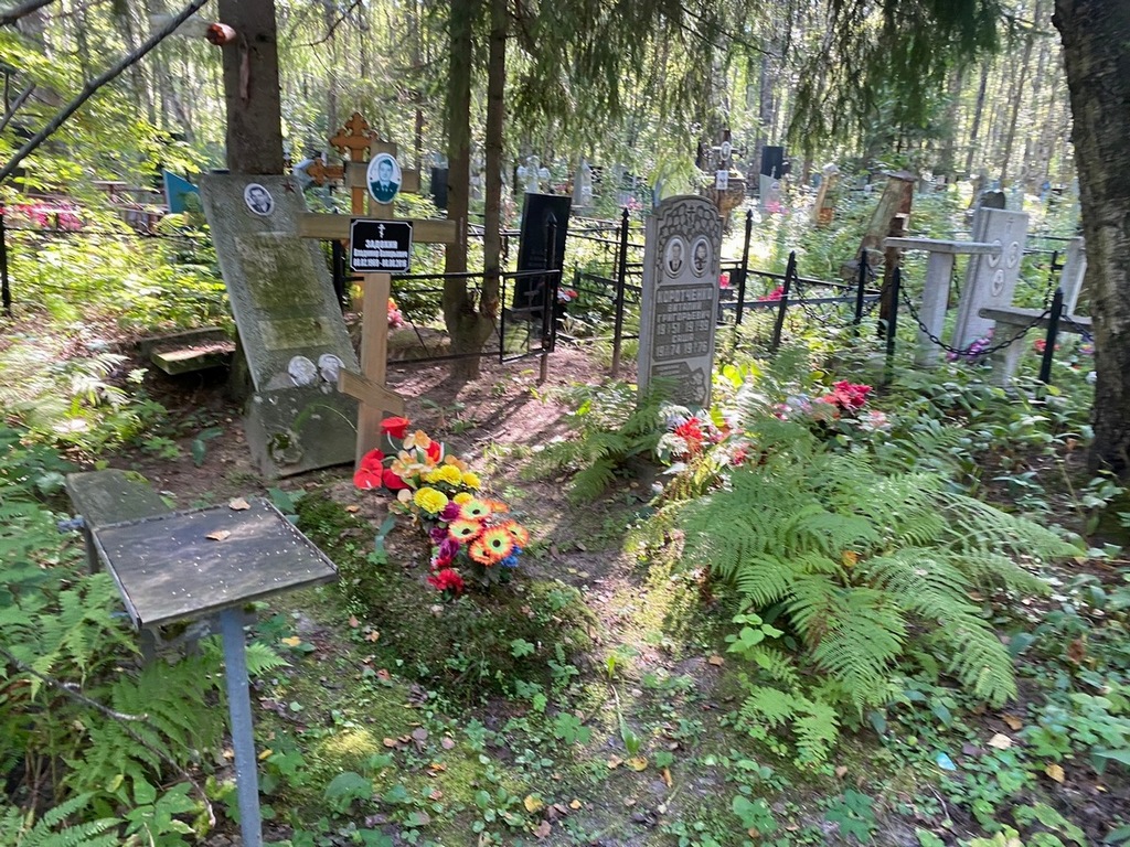 Задохин Владимир Валерьевич