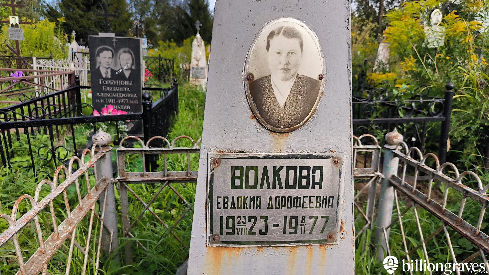 Волкова Евдокия Дорофеевна