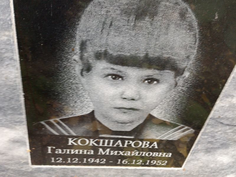Кокшарова