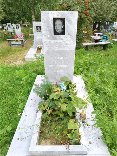 Ефимов Илья Викторович