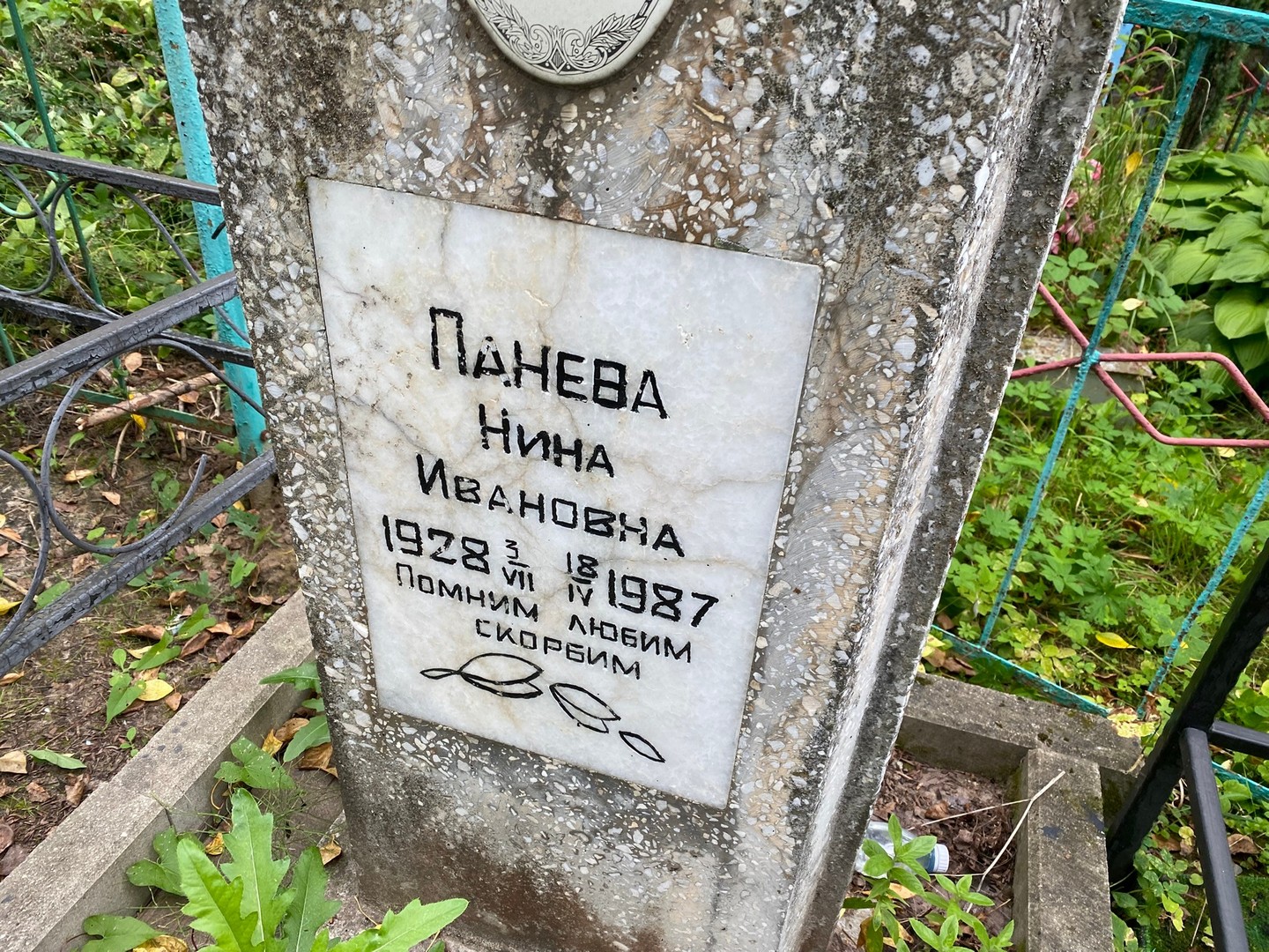 Панева