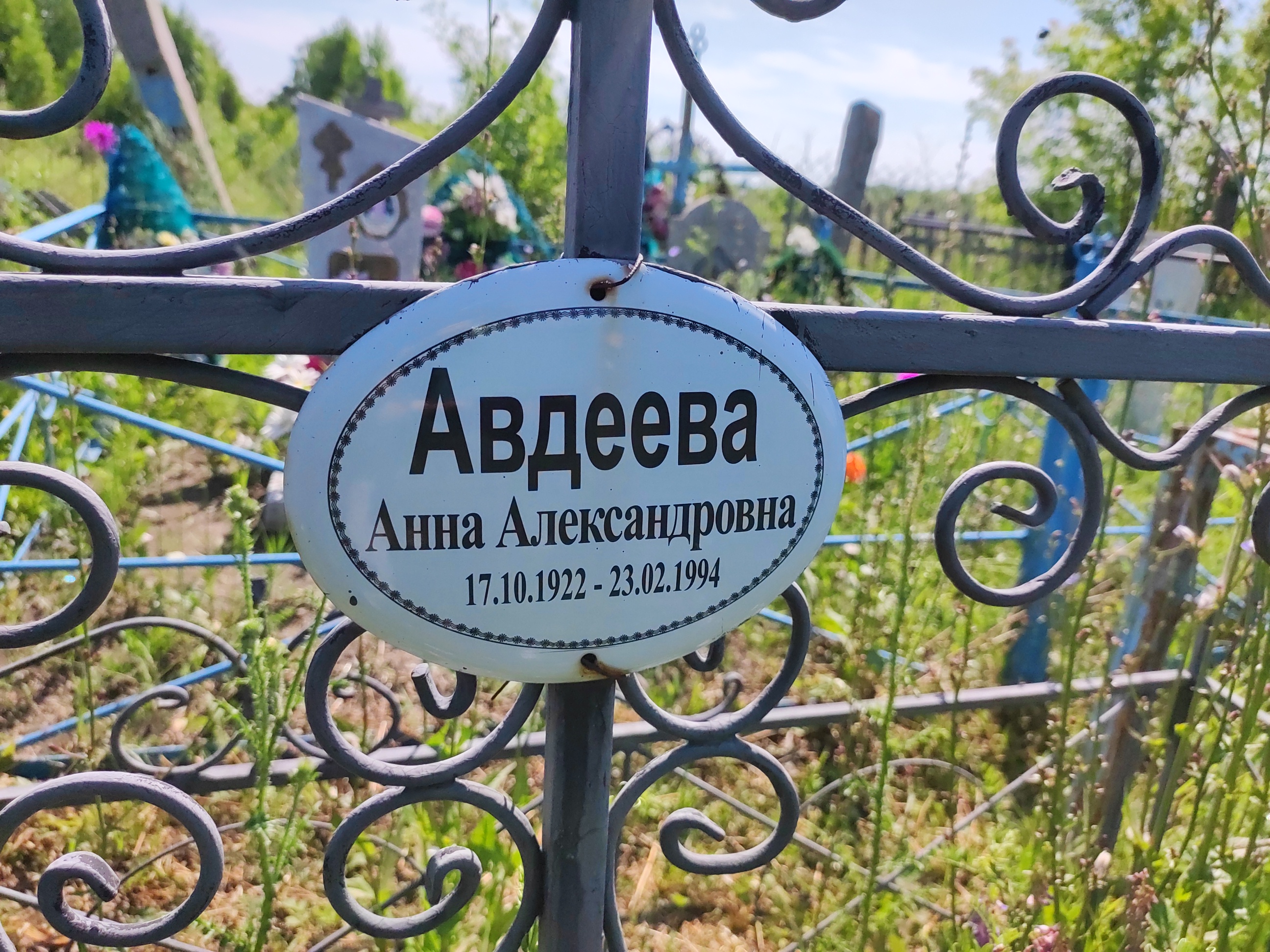 Авдеева Анна Александровна