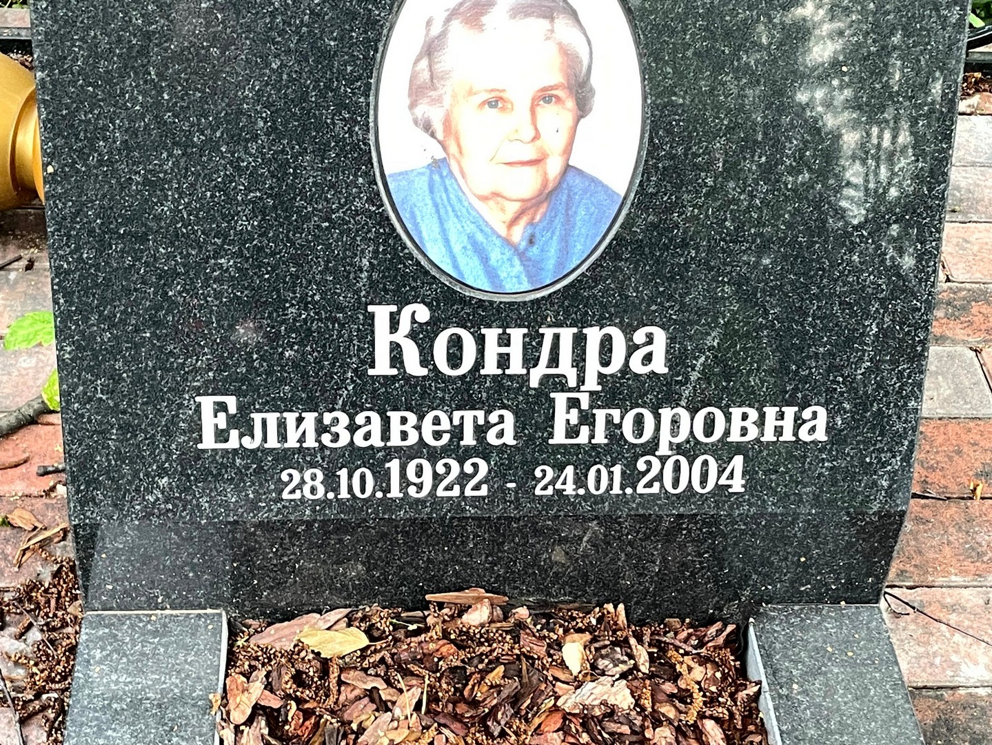 Кондра