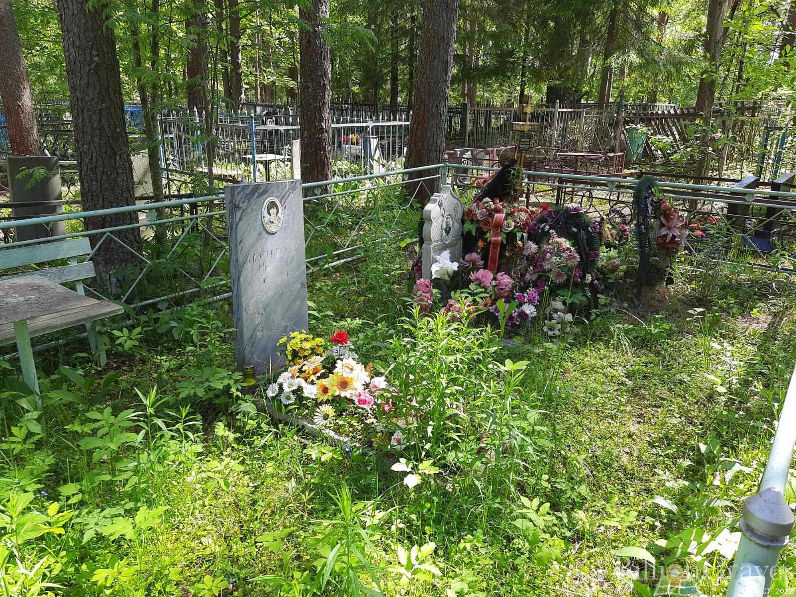 Нестерова Инесса Геннадьевна