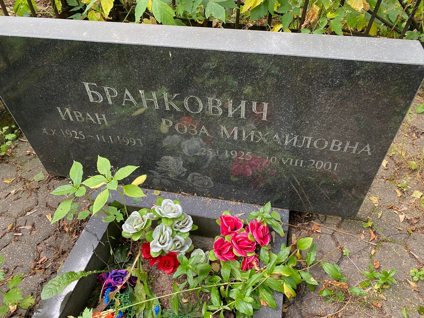 Бранкович Бранкович