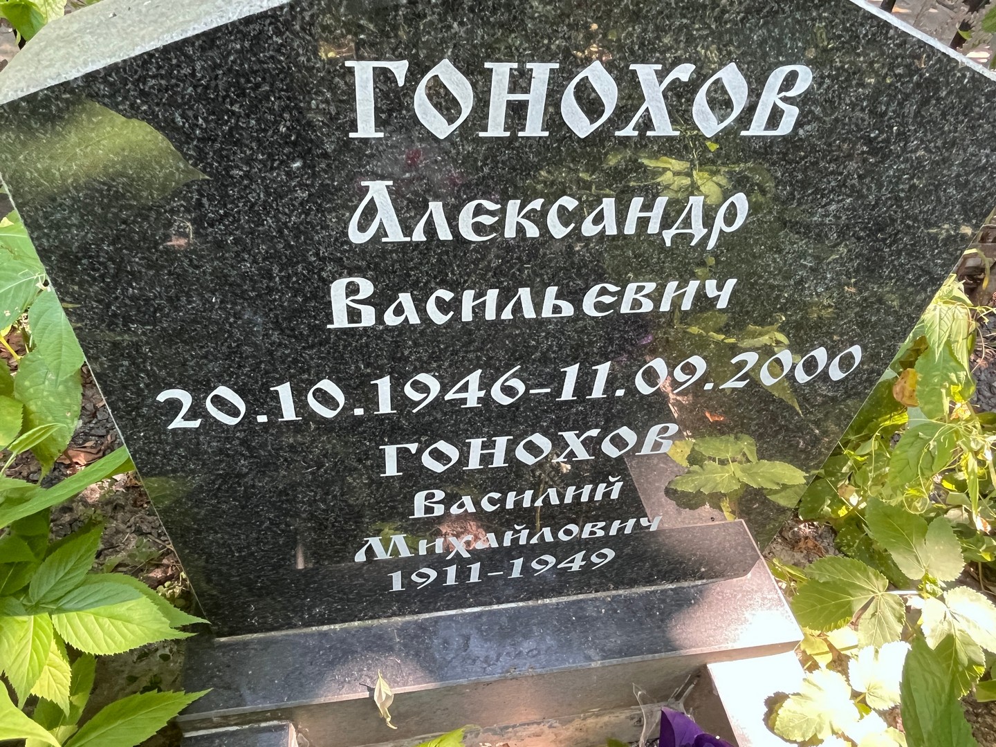 Гонохов