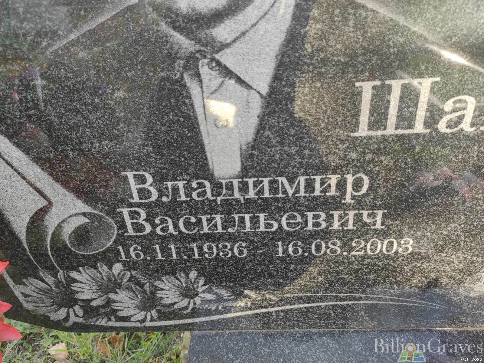 Шашина Анна Алексеевна
