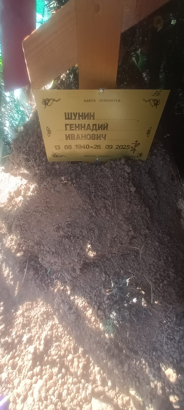 Шунин