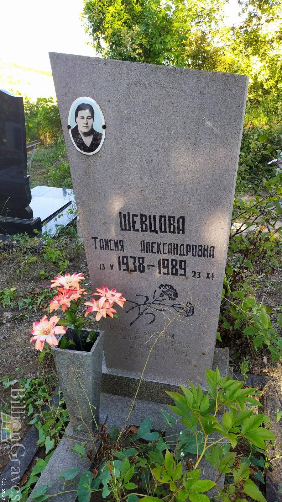 Шевцова Таисия Александровна