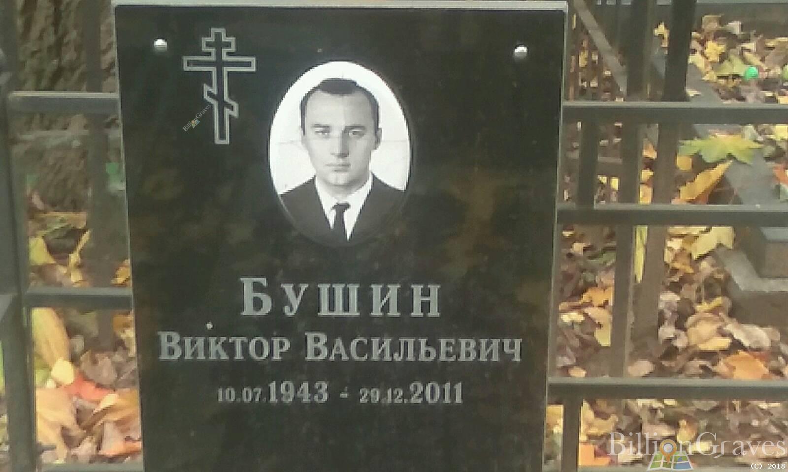 бушин виктор васильевич
