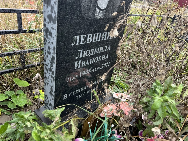 Левшина