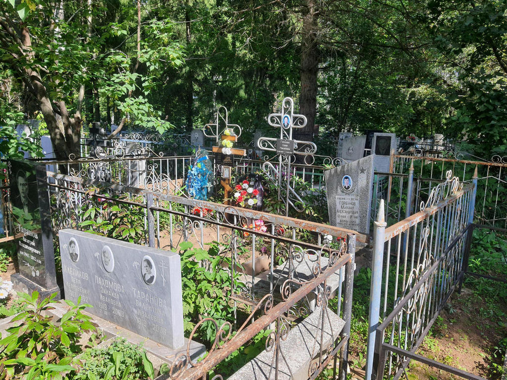 Горбунова София Михайловна
